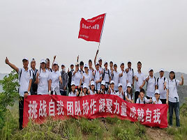 友元團(tuán)隊(duì)合影